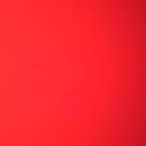 Meet your Posher, Bridget